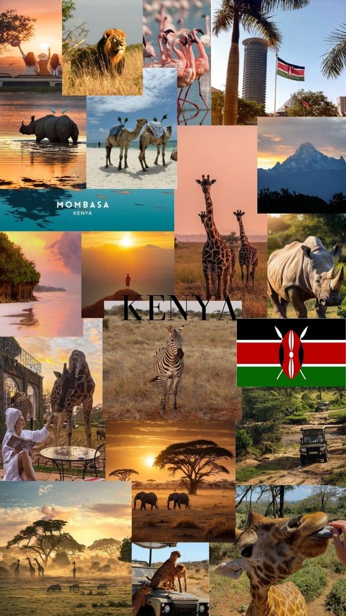 #Kenya #IphoneWallpaper #Aesthetic #Safari #Sunset